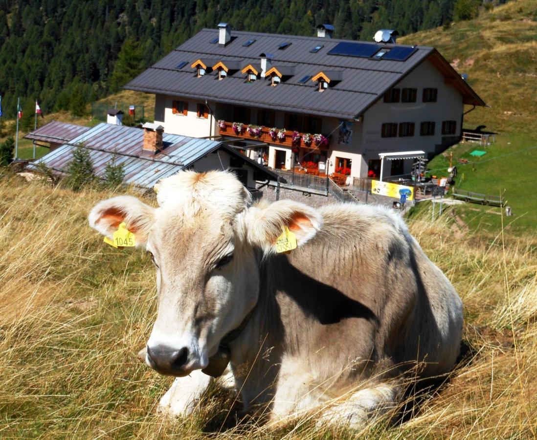 Rifugio Capanna Passo Valles Falcade Bagian luar foto